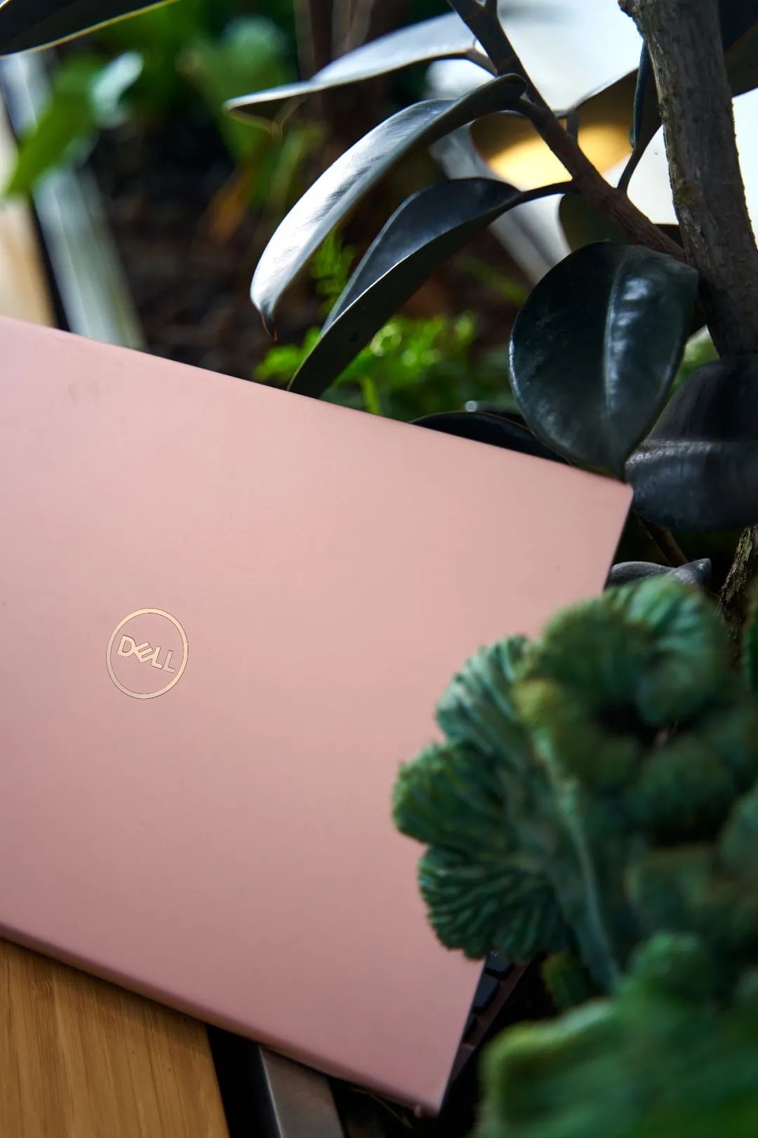 雷电4接口是干什么的,小米雷电4接口什么意思