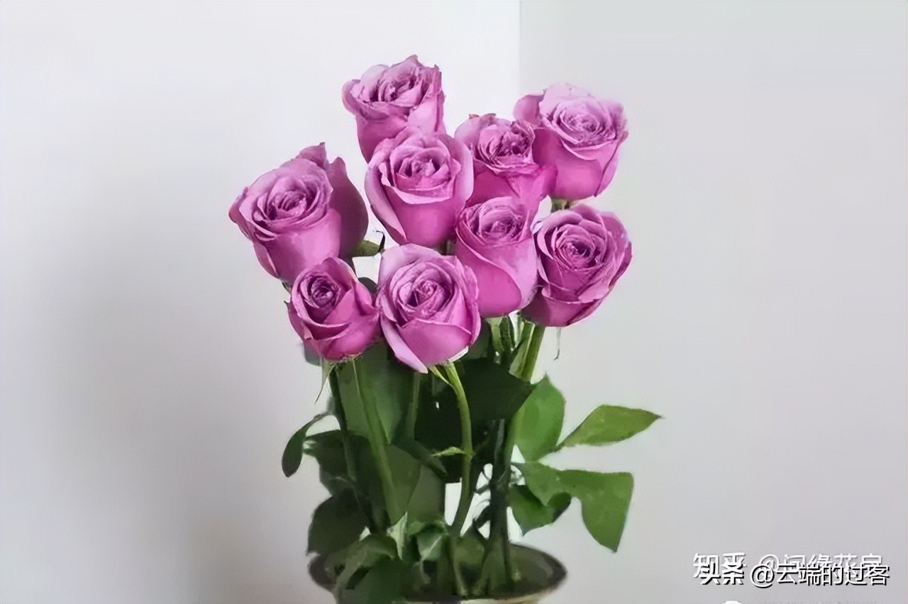 1到99朵玫瑰的含义图片,1到99朵玫瑰花语是什么