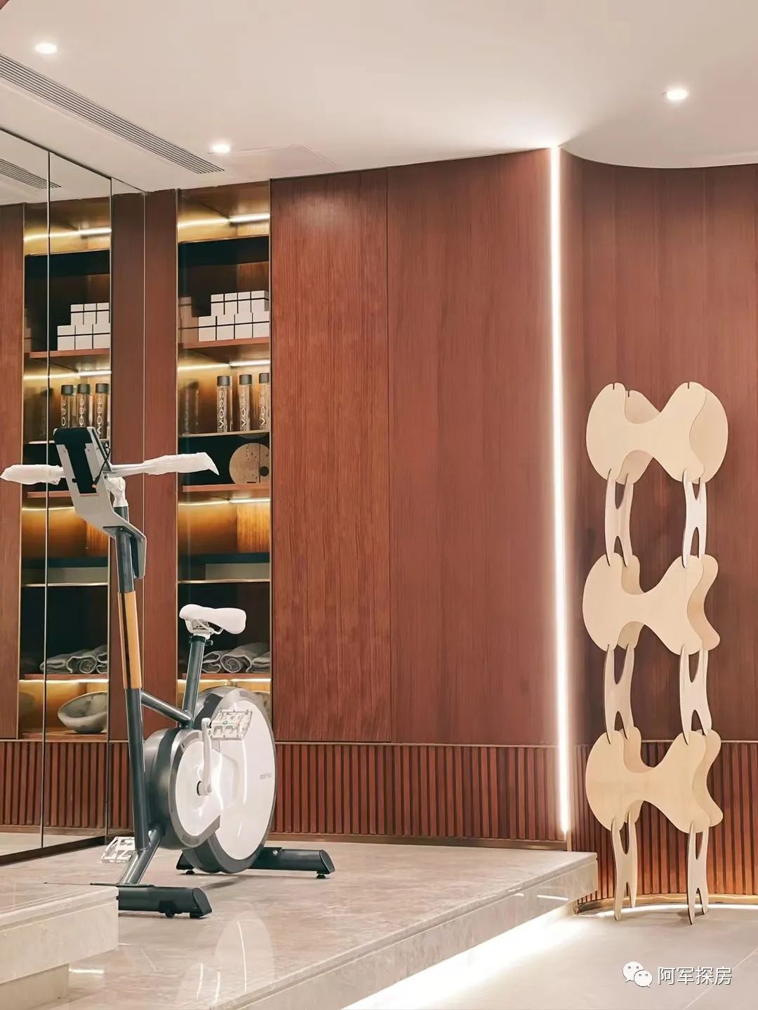 金沙洲低总价新楼盘,金沙洲力迅榕叠墅