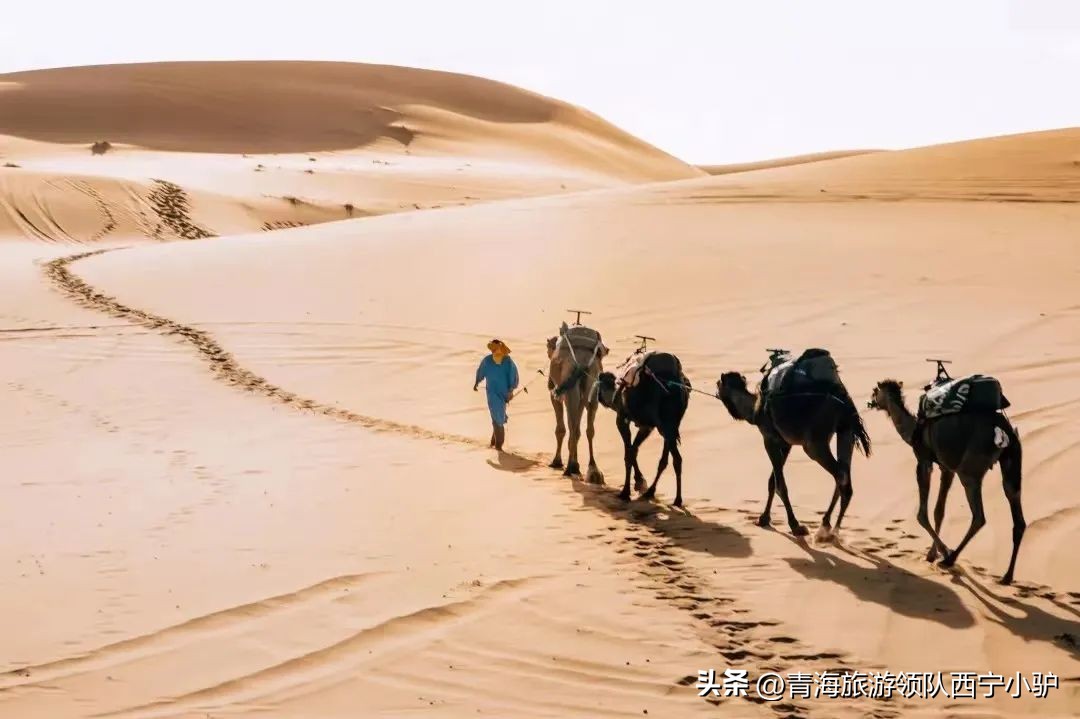 西北大环线7天6晚包车游,大西北环线6日游攻略