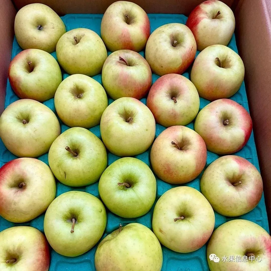 苹果排名第一是哪种苹果,苹果品种好吃排名