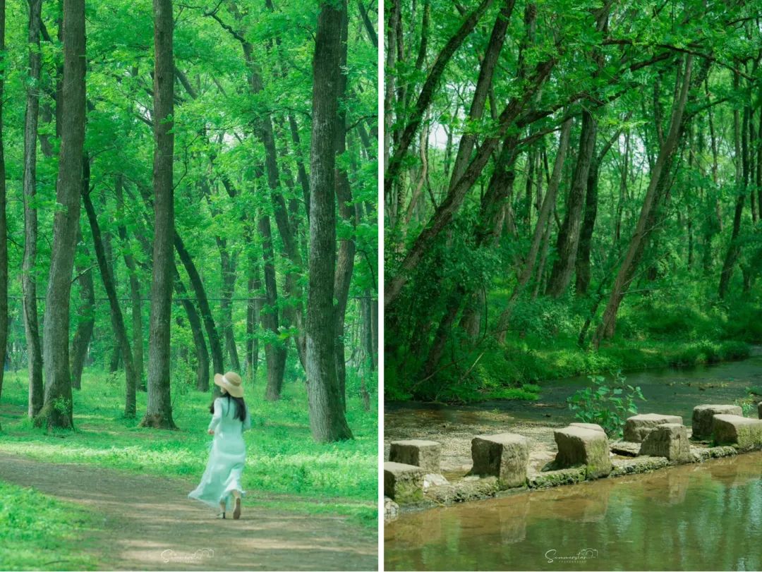 夏天凉快风景好又有水的旅游景点,夏天旅游景点哪里最好玩