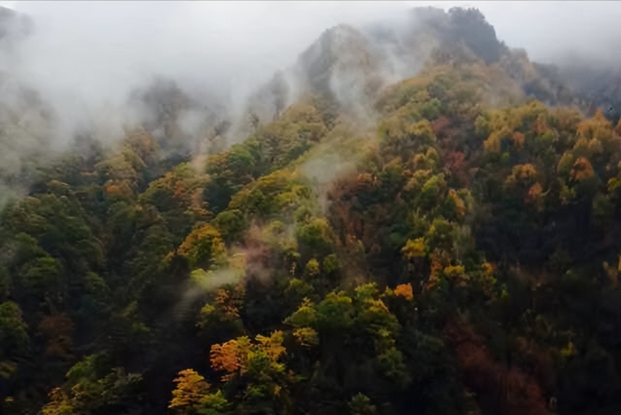 光雾山环境,光雾山有什么灵气