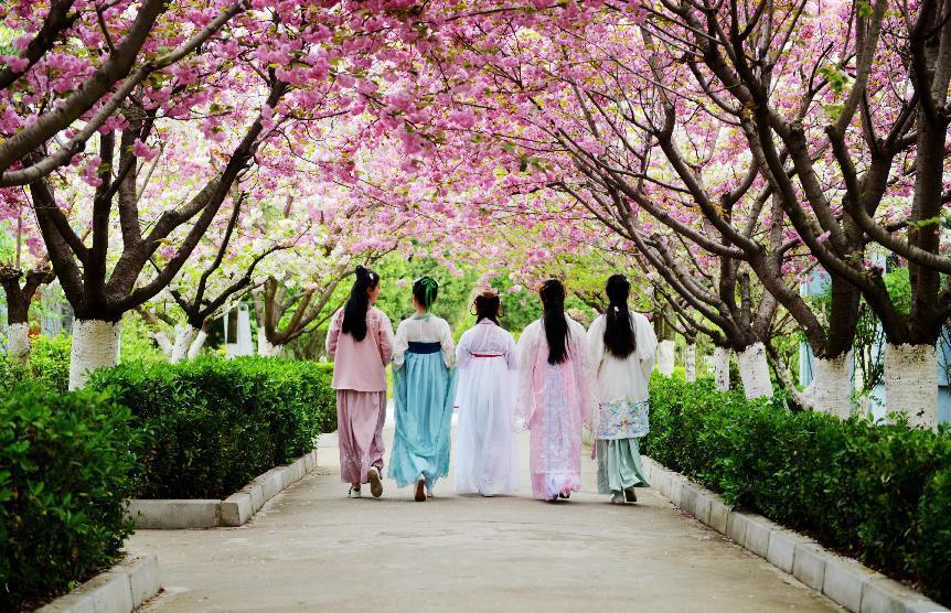 2023陇南文旅康养项目,甘肃陇南文县康养基地