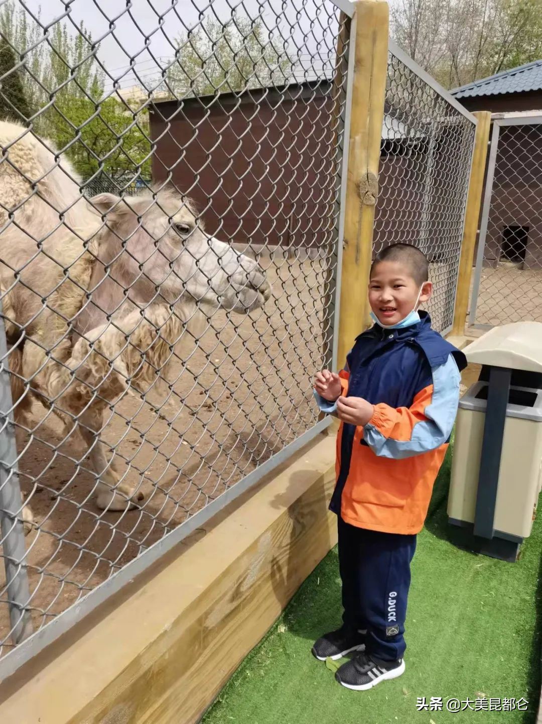 快来看看谁是昆都仑区“新时代好少年”？有你家娃吗？