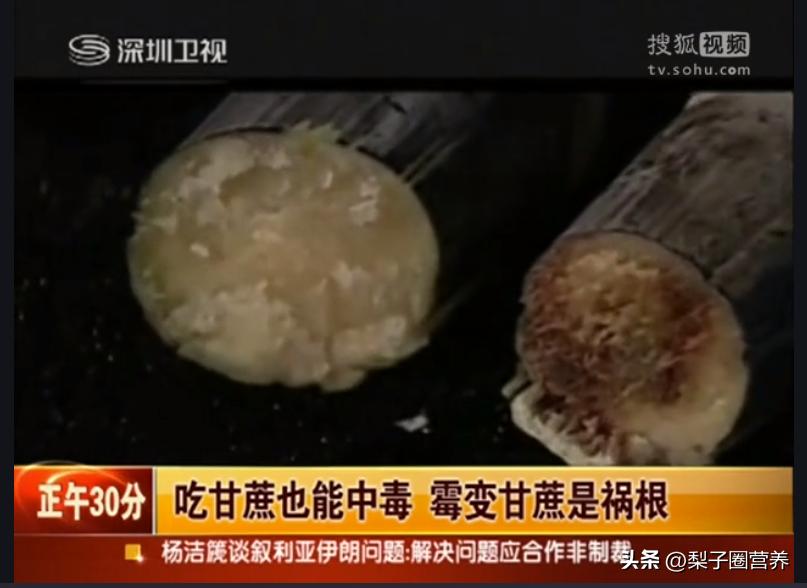 警惕这种水果比毒蛇还毒,警惕这种剧毒千万别拿来煲汤