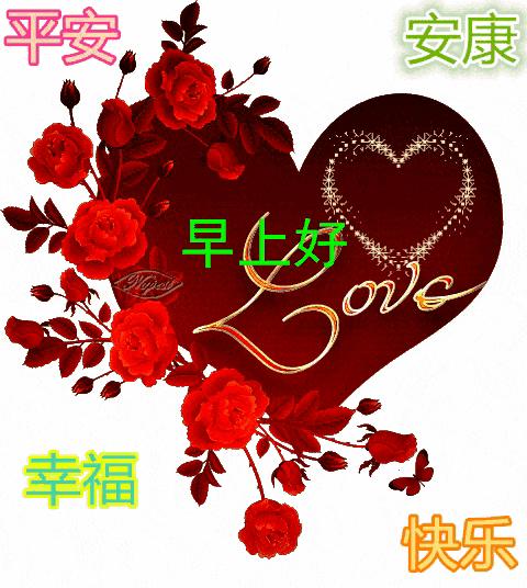 520送你最美的玫瑰花,520把最美的祝福送给幸福的你