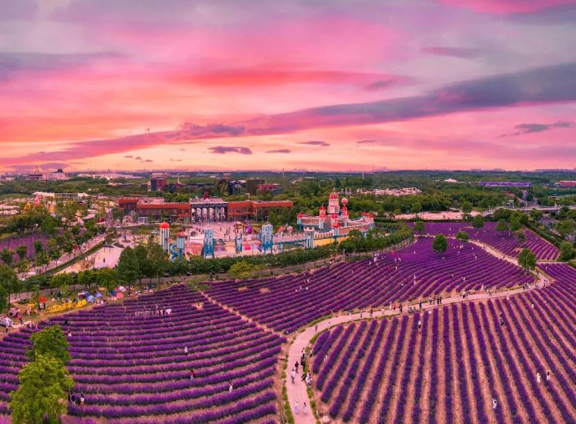 亲子玩的地方推荐上海浦东新区,浦东适合亲子游的地方推荐