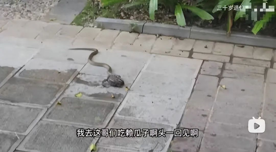 新疆硕士小伙,新疆硕士小伙靠抠存下百万