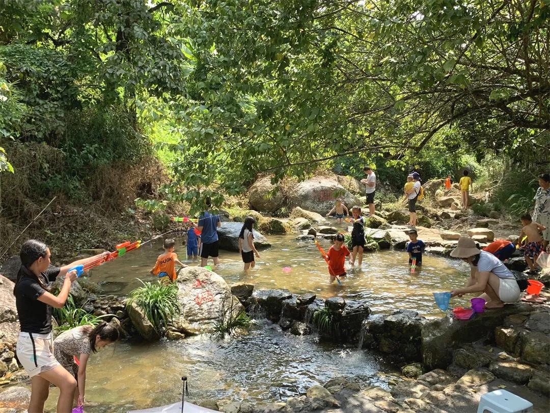 广州摘荔枝一日游最佳路线,从化自驾游荔枝采摘园