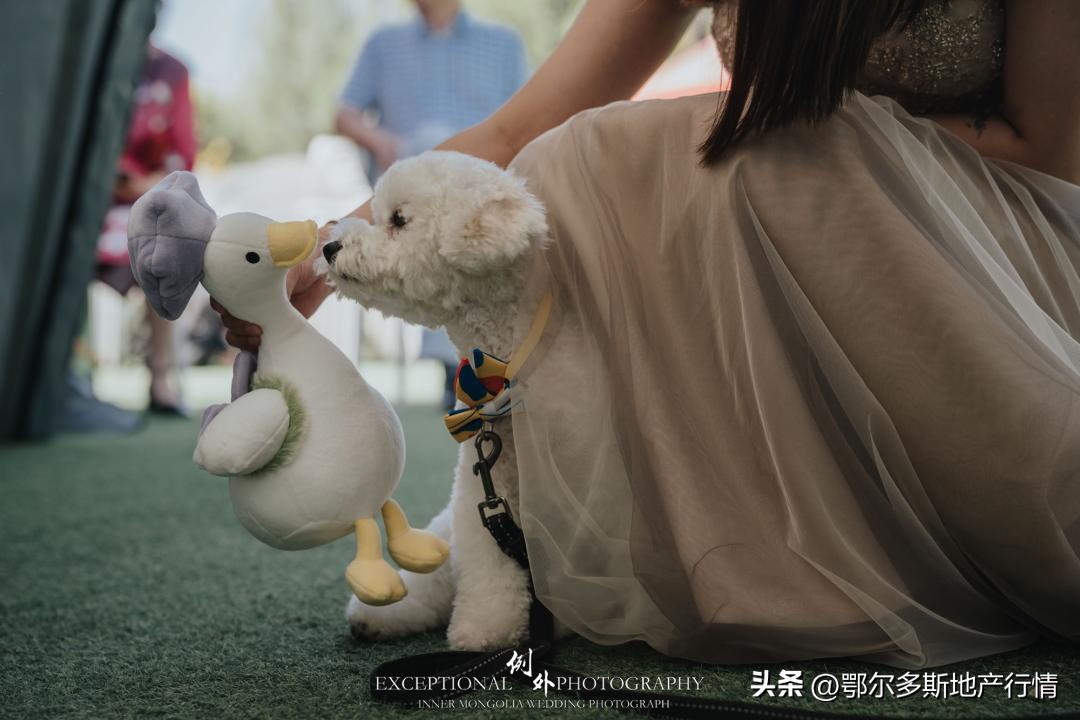 杰欣婚礼回顾|爱的里程碑