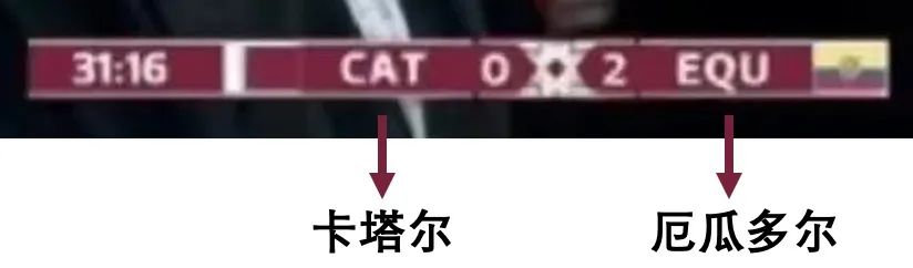 卡塔尔世界杯你要知道的,关于卡塔尔世界杯的小知识