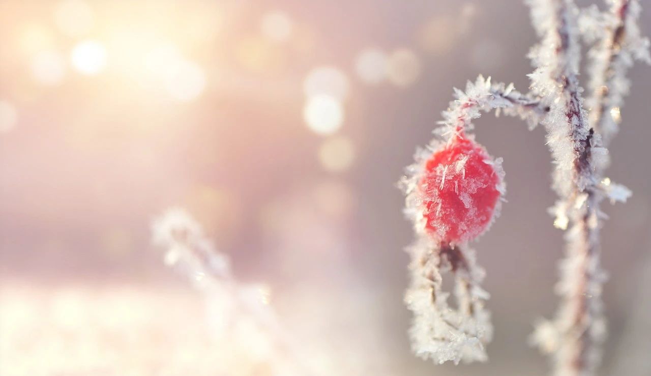 大寒节气诗词100首,十首大寒诗词