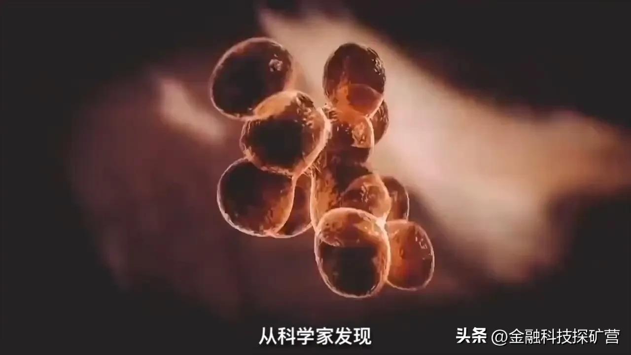 熵的临界点到来，人类的生活方式将被迫做怎样的改变？