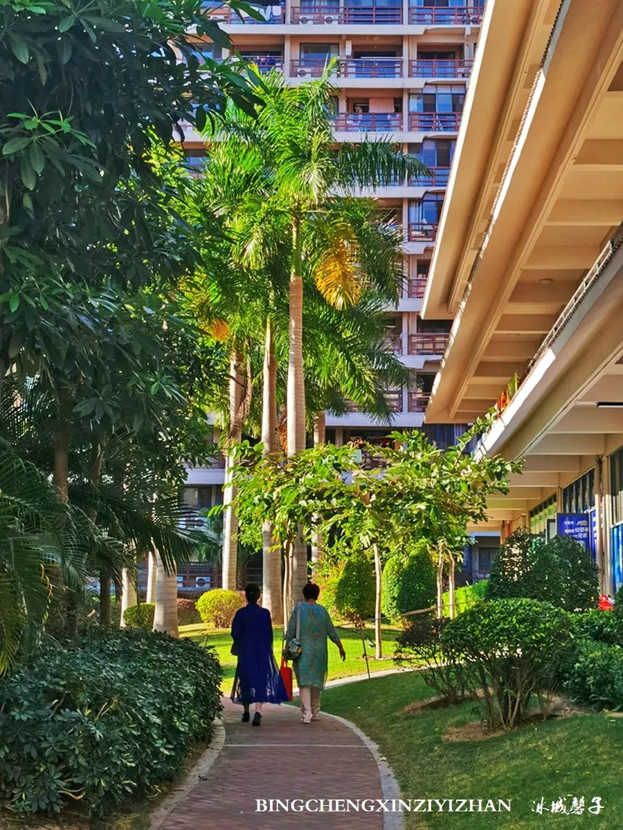 旅居海南：九所新区的浪漫情