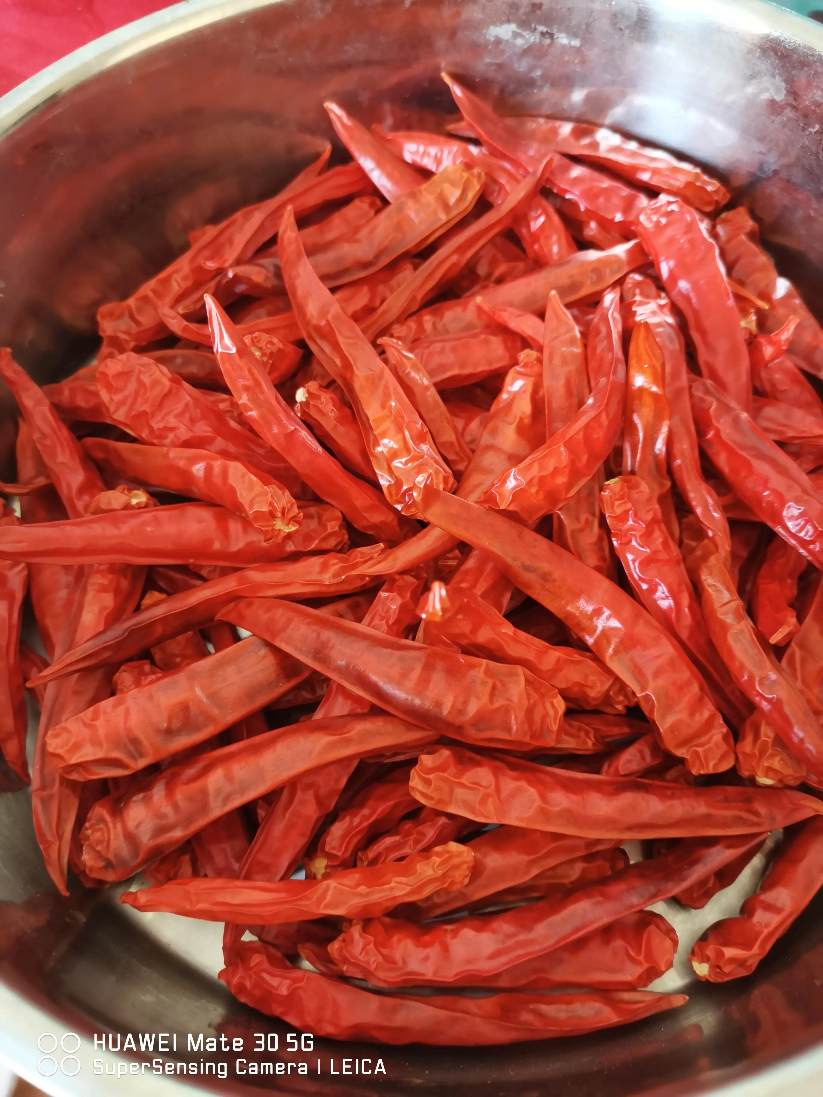 遇到好好的房东是什么感受,遇见一个热心肠的房东有多重要