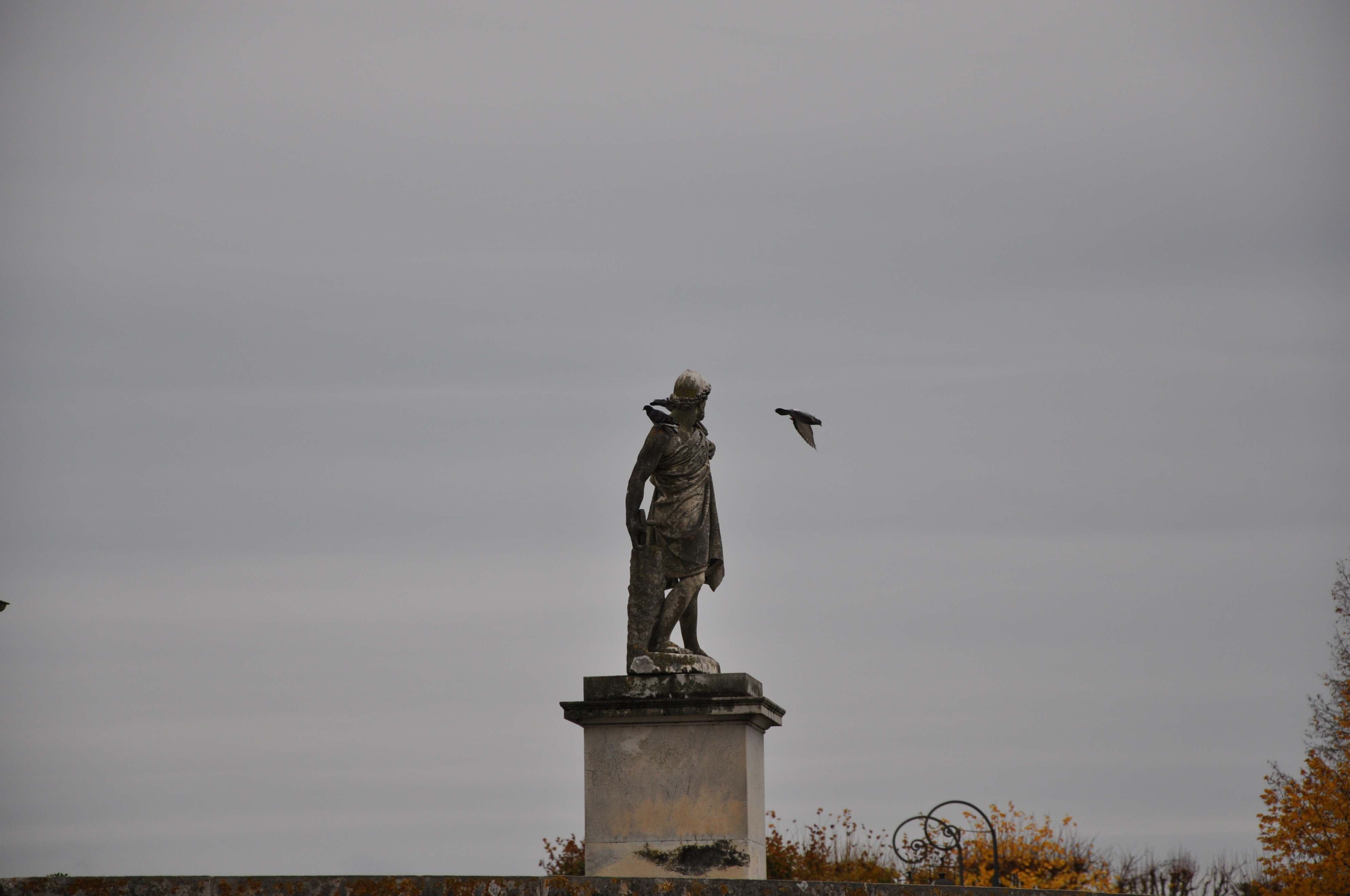 枫丹白露宫名字由来,枫丹白露宫殿俯视图解