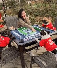 网恋奔现，这不叫“翻车”，应该叫“坠机”！哈哈哈