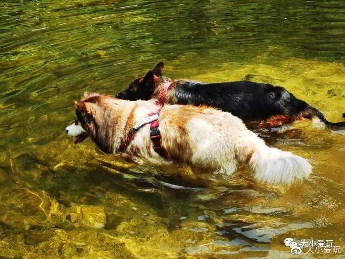 澶╂渤鐎戝竷閬挎殤绾冲噳鐨勫ソ鍦版柟,澶忓閬挎殤婧舵礊鎺ㄨ崘