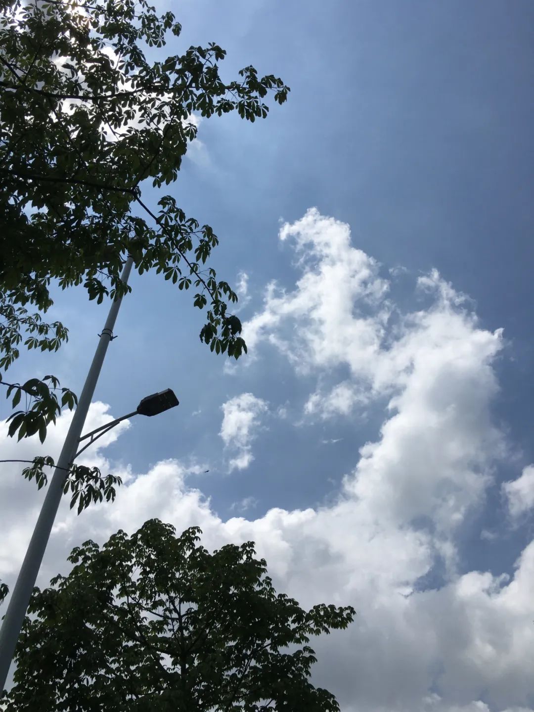 《旭光骑行深圳》第21站——龙华区龙华街道