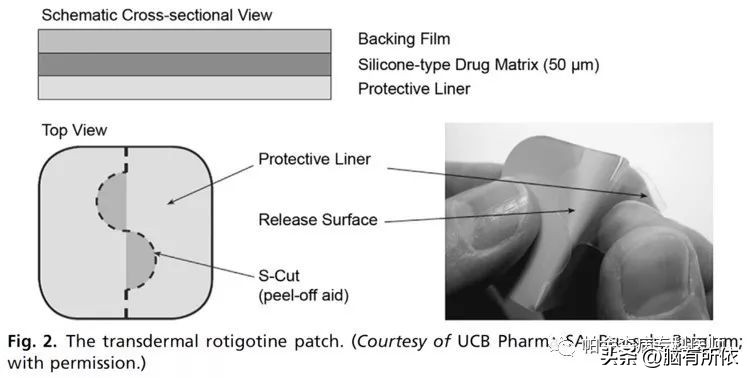 帕金森的治疗原则及目标,帕金森怎么治疗能延长寿命