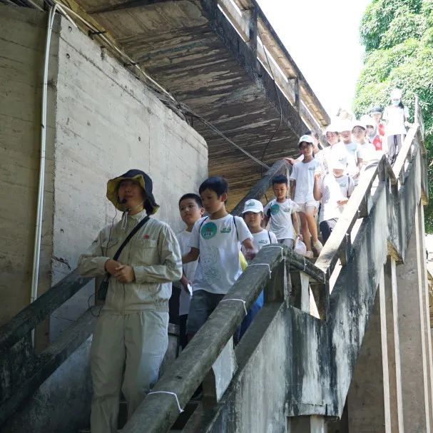 融媒小记者夏令营,融媒小记者栏目