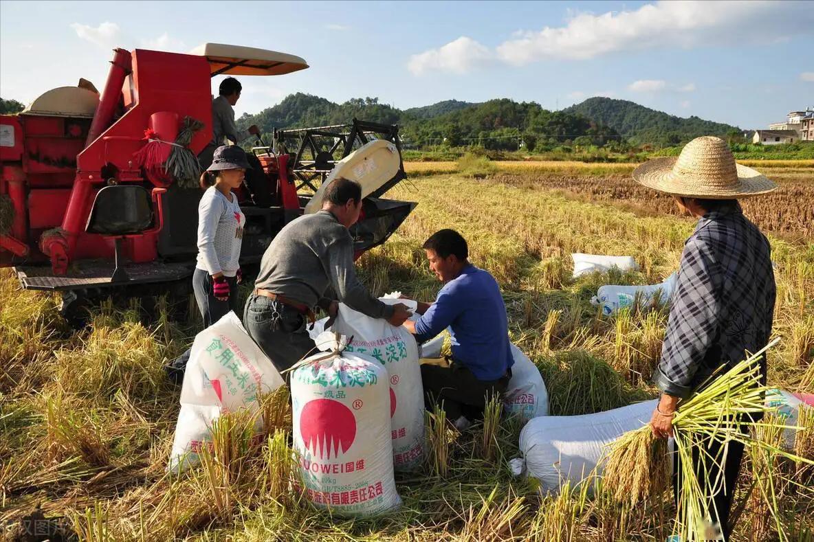 一户一块田补贴费用怎么分配,一户一田收回吗