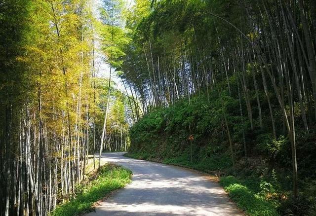 福建冷门又好玩的地方,五一福建冷门旅游景点人少风景美