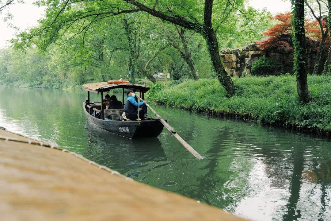 春天的潺潺溪水,春天的顶流