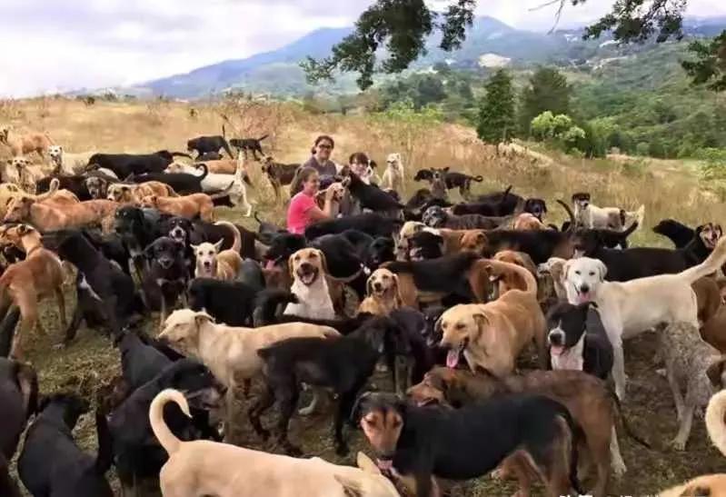 萨尔瓦多是哪个国家,萨尔瓦多是个什么国家