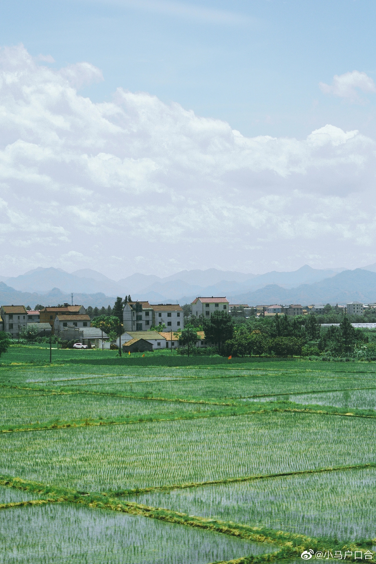 唐诗唯美千古绝句,最美的四季唐诗