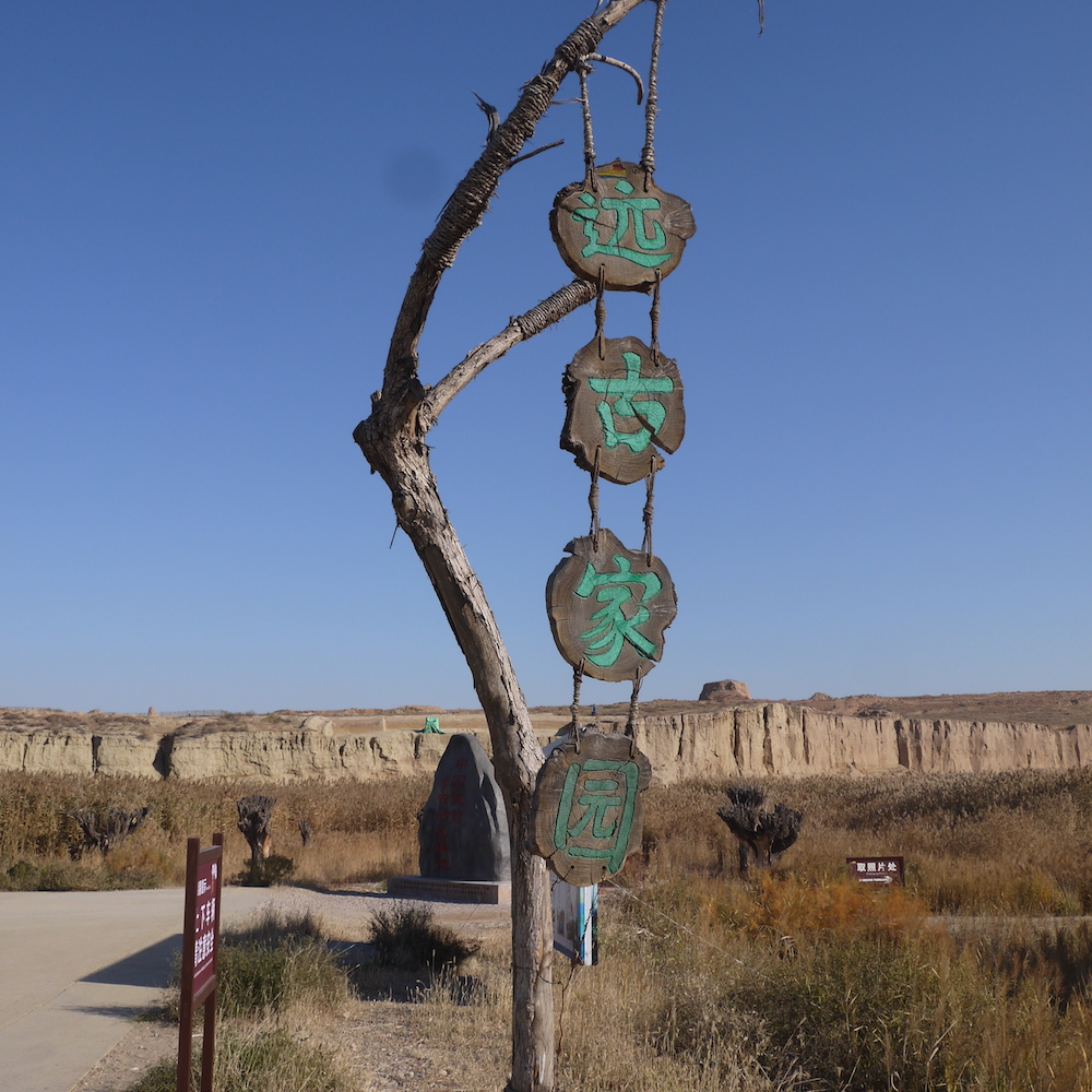 北京自驾额济纳胡杨林十天攻略,从北京到额济纳胡杨林线路
