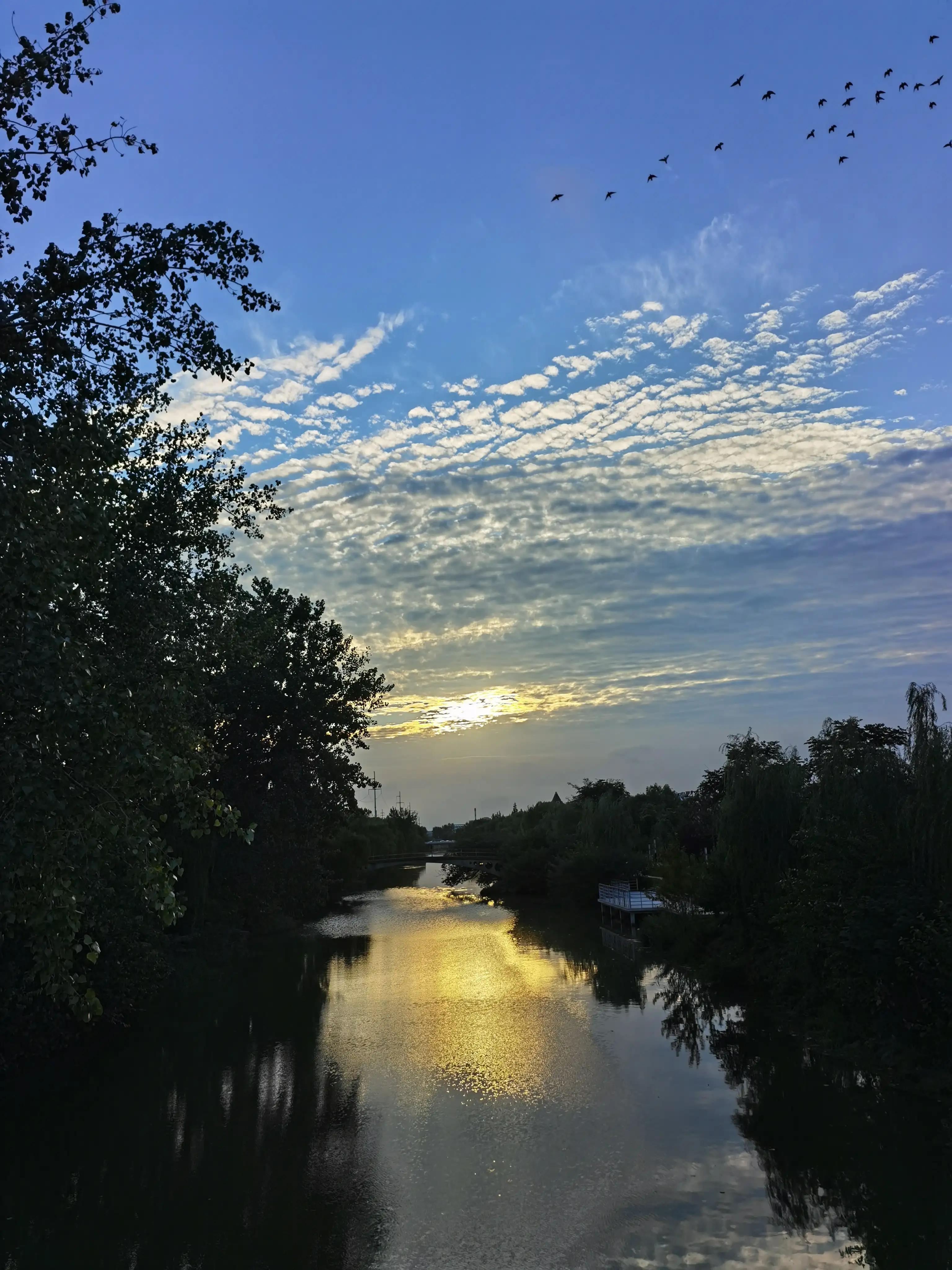 小说：中年农民陈姊妹