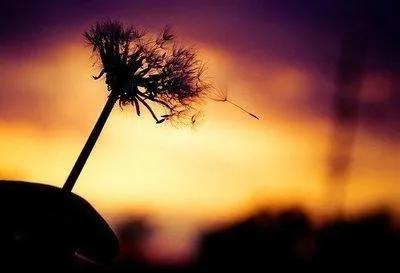 有些人，最终死于自己的口舌之快