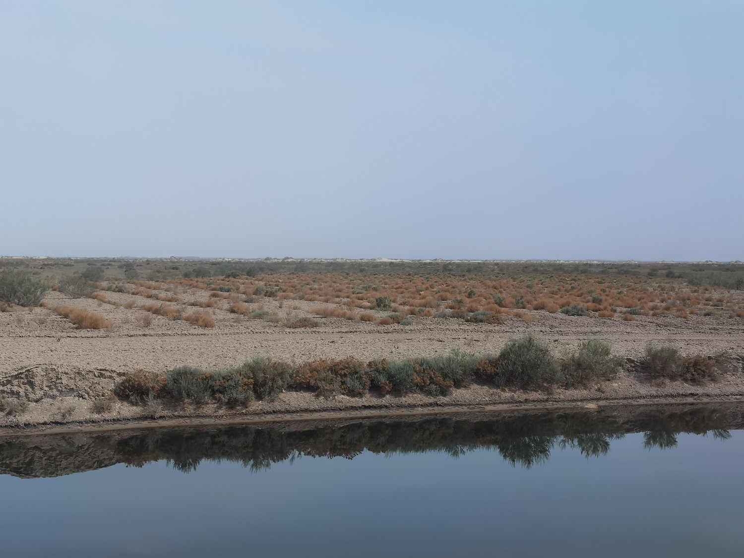 农二师哪个团有防沙治沙项目,一师十一团