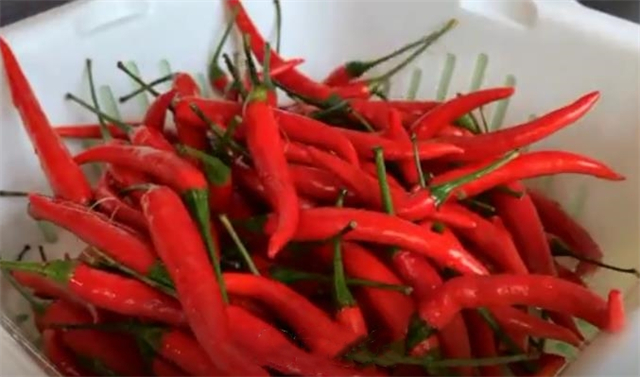 正宗辣椒酱配方大全,辣椒酱不加添加剂能正常存放多久