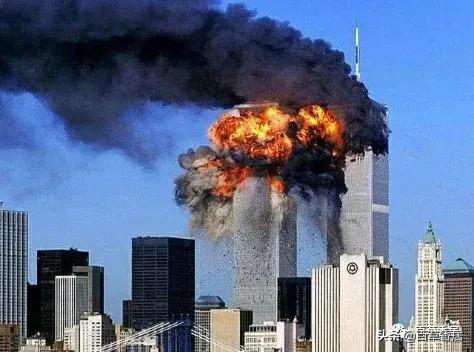 五月花朱志刚,五月花东星斑