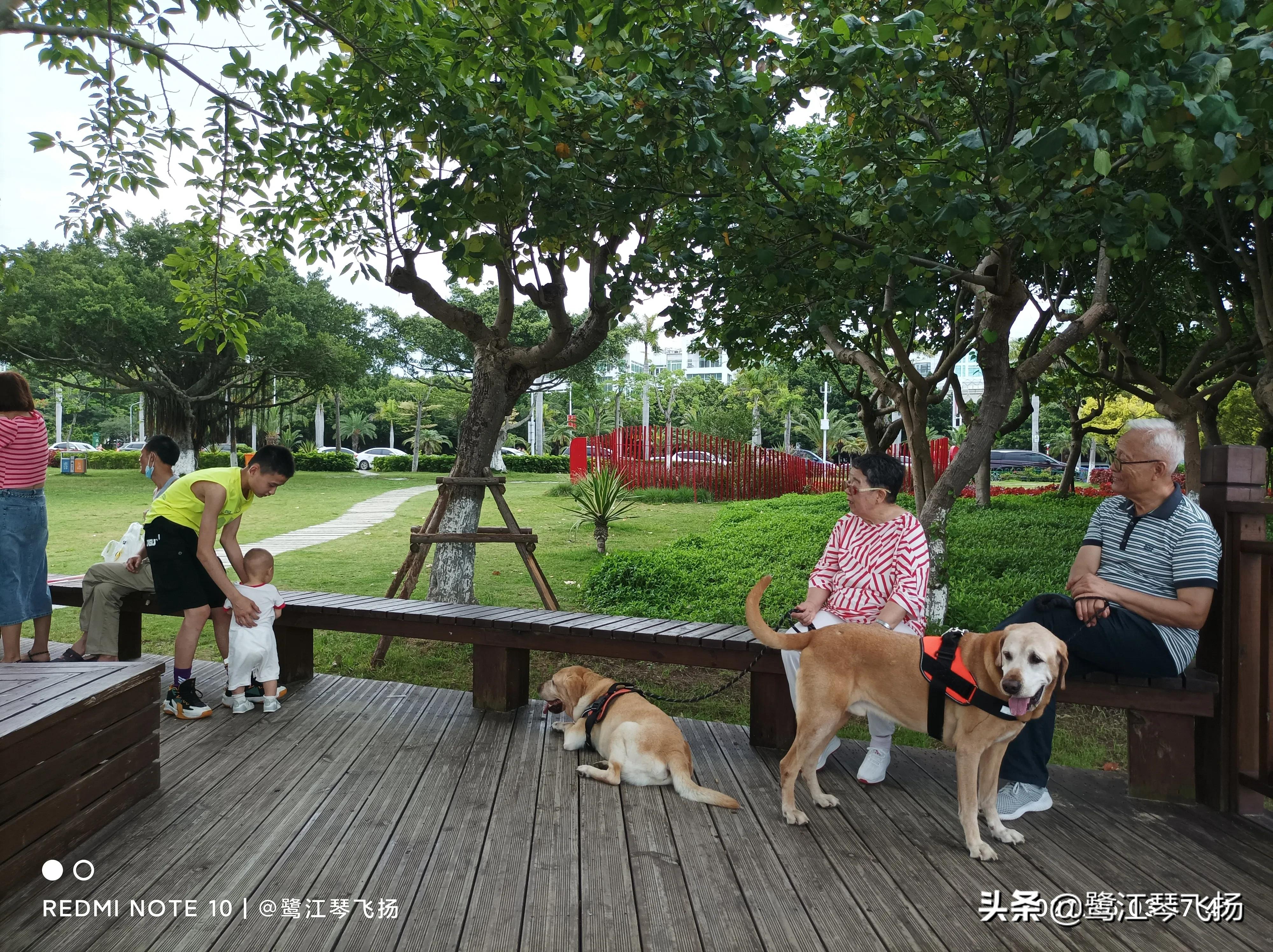 厦门六月的海,厦门的六月