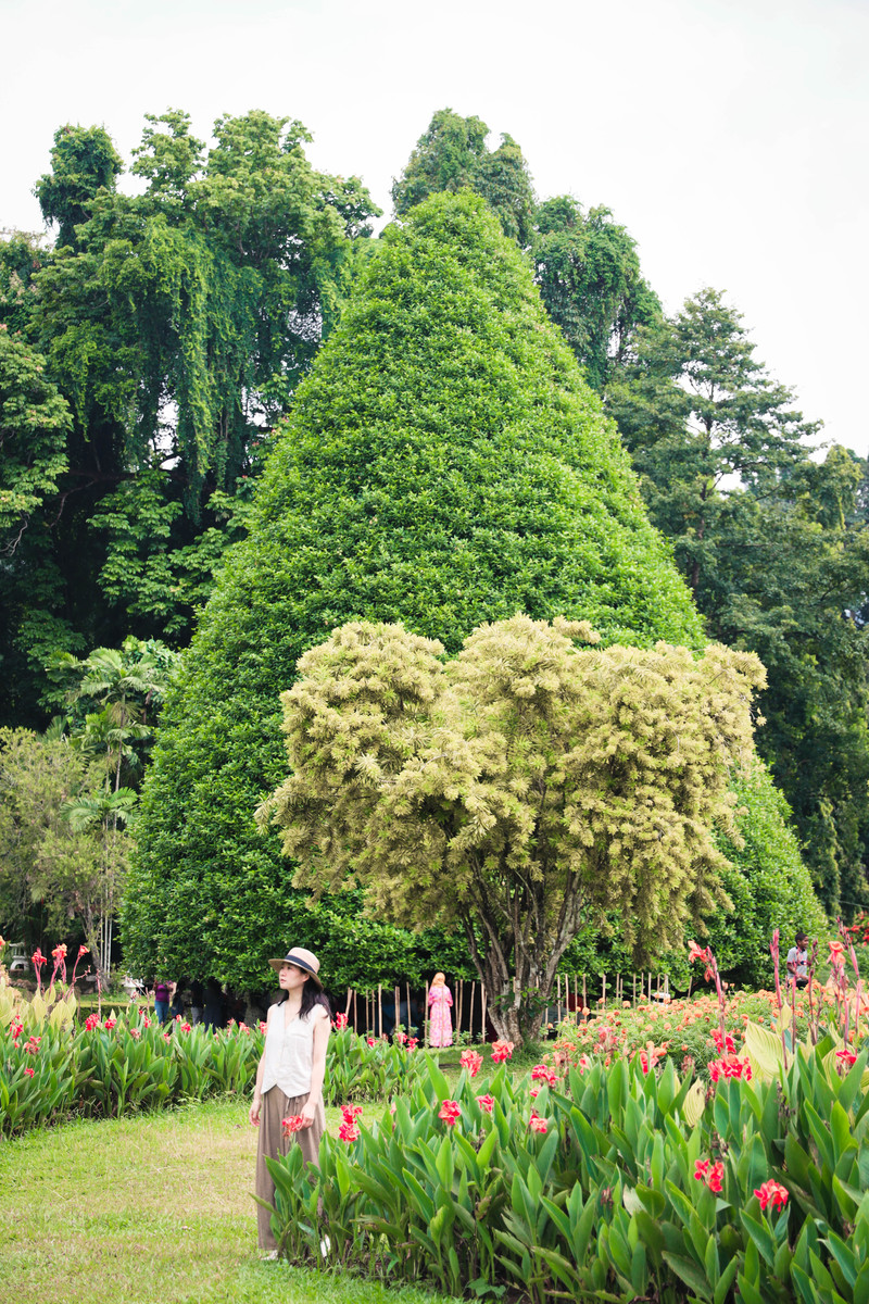 斯里兰卡旅游攻略必去景点,斯里兰卡最佳旅游攻略