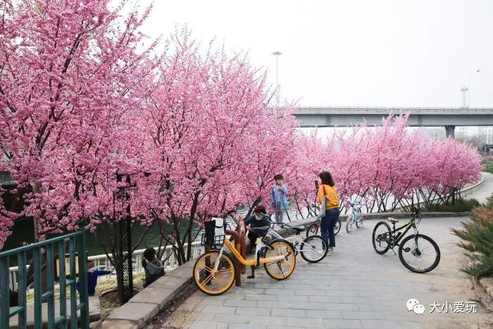 北京花海休闲公园,帝都游乐场