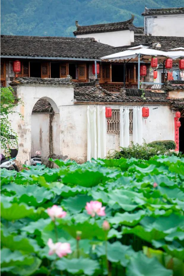 黄山的美景推荐,五一黄山旅游自然风景推荐