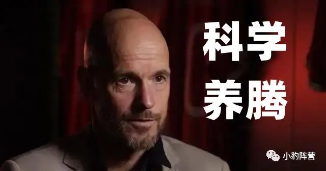 英超南安普顿对布莱顿,英超南安普敦对曼联预测