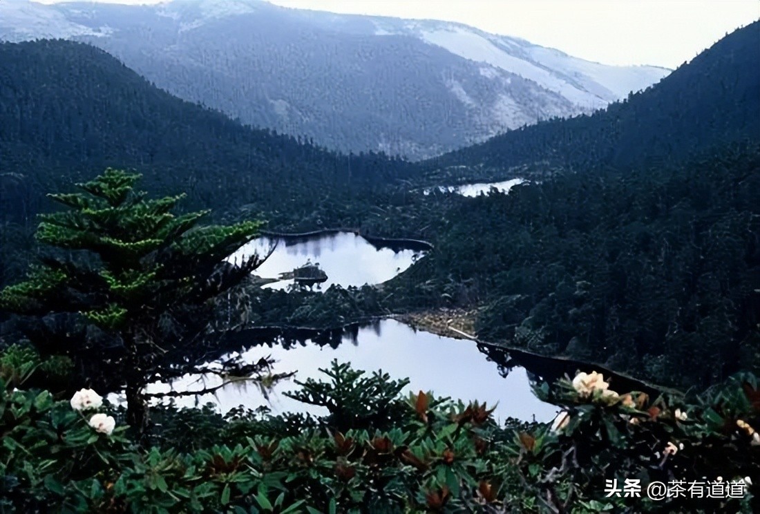 泸溪县茶马古道,中国茶马古道上的碧溪古镇