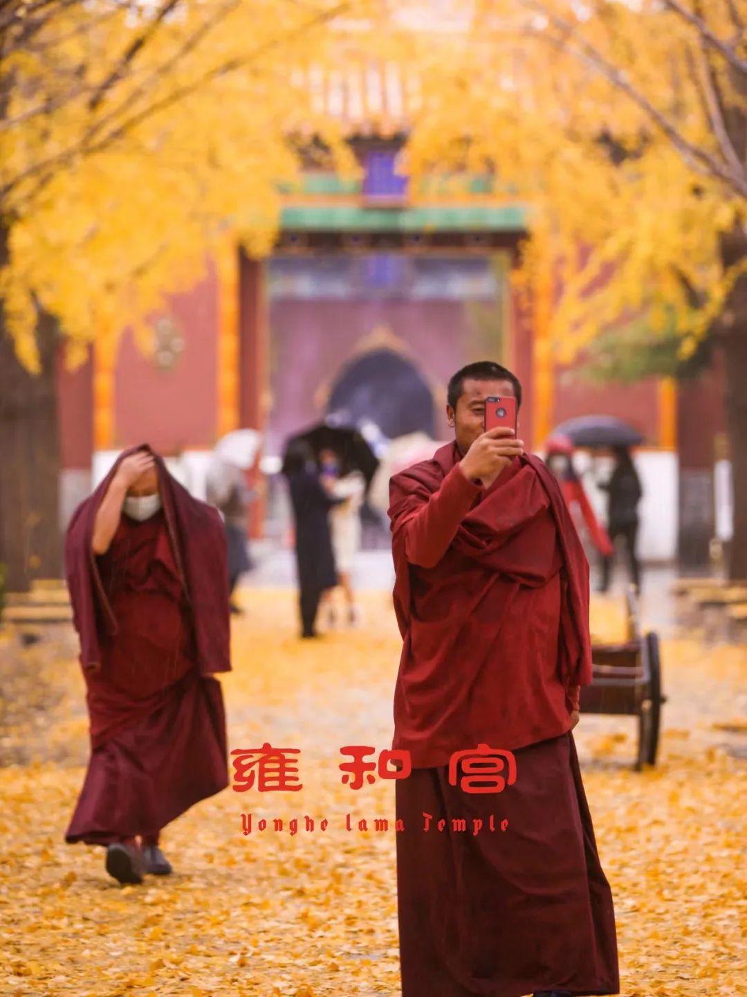 一入秋北京就变成了北平原文,一入秋北京就成了北平是谁说的