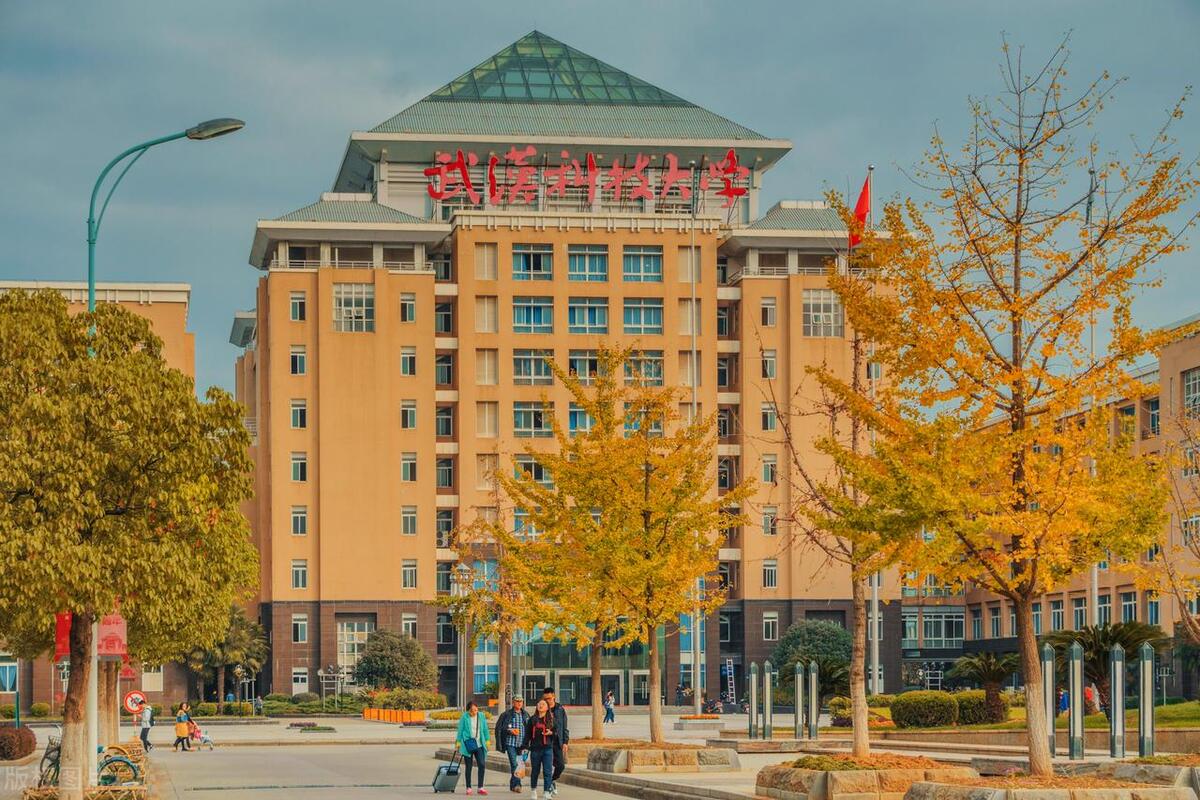 武汉排名前20的专业最好的学校,武汉前十专科大学王牌专业