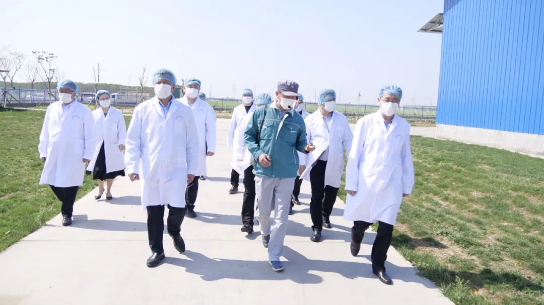 聚焦发展，共赢未来！内蒙古通辽市扎鲁特旗领导莅临胜伟考察交流