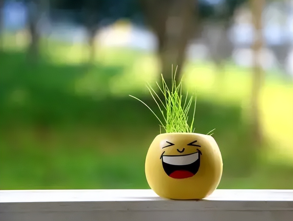 花式保健品骗局,12种保健品被骗