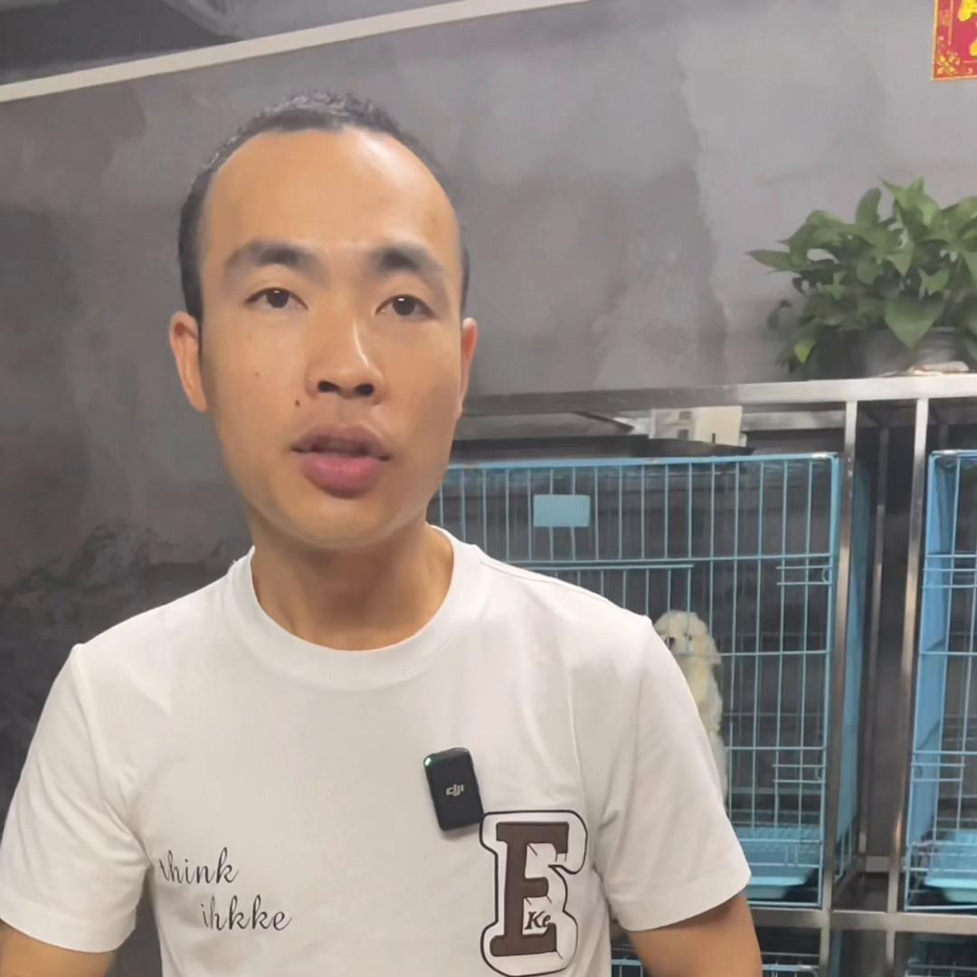 在网上买狗被骗的都有哪些,网上买狗怎样才知道没被骗