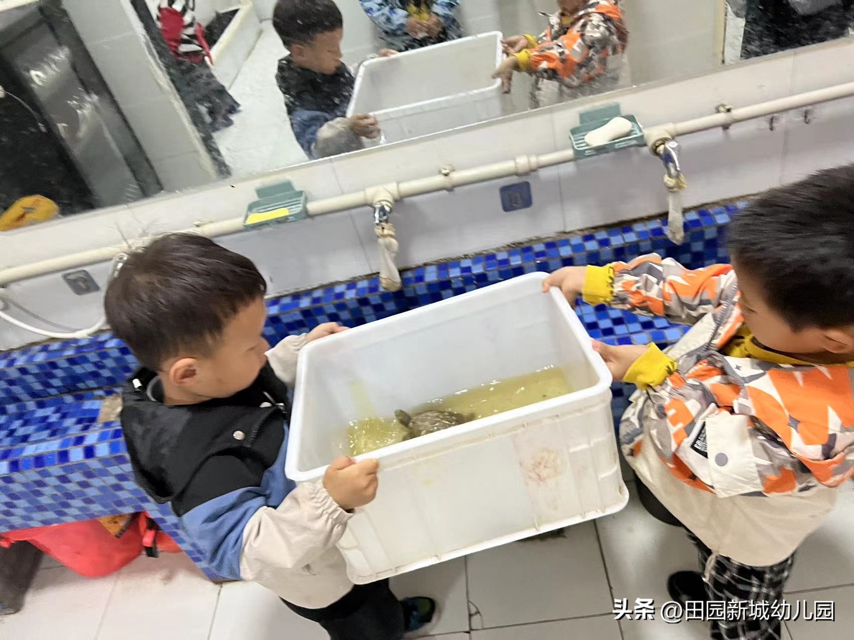 课程故事乌龟大班,嗨小鸭课程故事