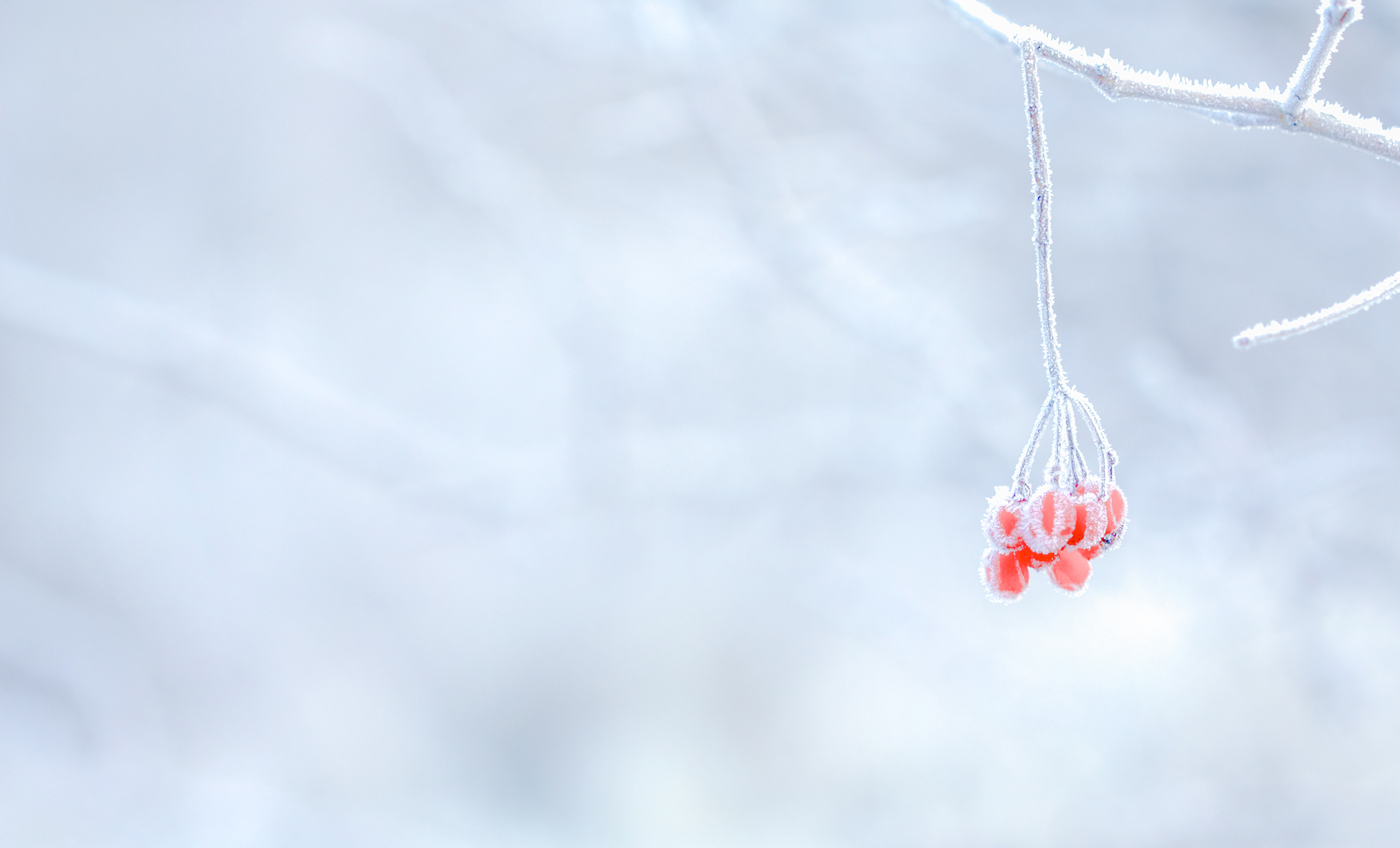 十大免费图片素材网站,十大无版权的素材图片网站